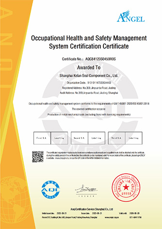 职业健康安全管理体系证书（英文版）