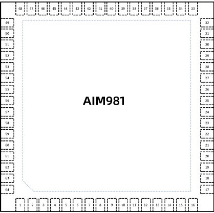 AIM981