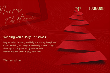 Audfly wishes you a Merry Christmas and a prosperous New Year!