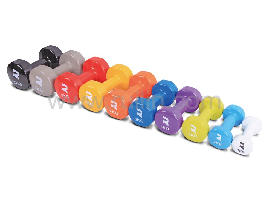 DIPPING DUMBBELL-DB2113