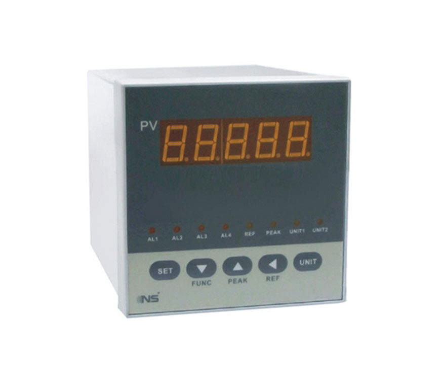NS-YB05C-C-W five-digit single display instrument