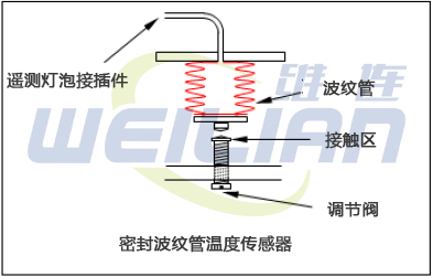 密封波纹管温度传感器 维连温度传感器