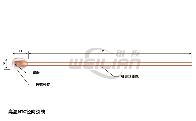 NTC 热敏电阻测量和浸入式杆效应 维连温度传感器