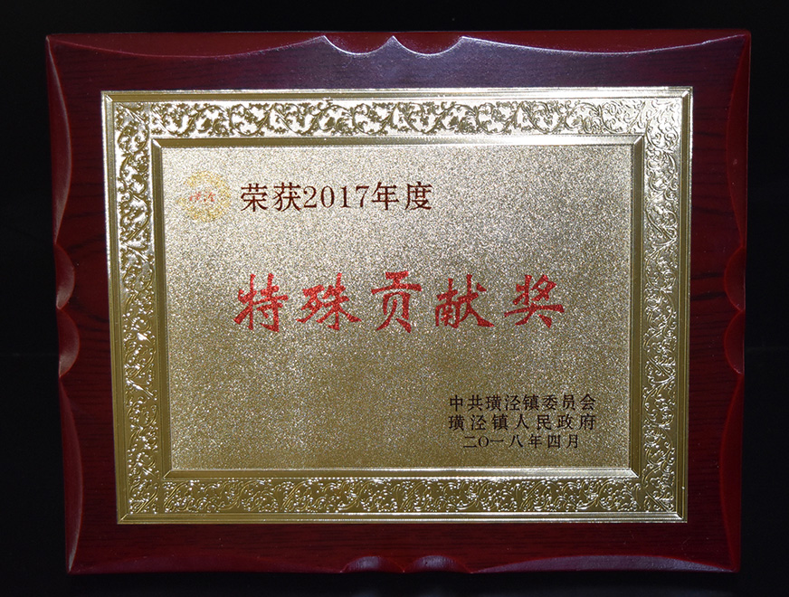  Special Contribution Award