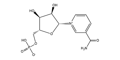 NMN/ 烟酰胺单核苷酸