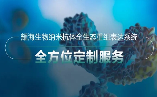 耀海生物构建全生态纳米抗体重组表达系统，助推纳米抗体技术新发展