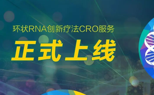 重磅布局丨耀海生物环状RNA创新疗法CRO服务正式上新！
