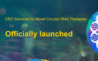 A Great Layout | Yaohaibio’s New CRO Services for Novel Circular RNA Therapies!