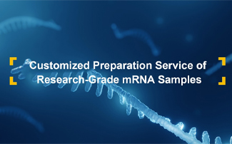Yaohaibio’s Advanced Customization Services for Research-Grade Sample Preparation Enables High-Quality Drug Research and Development!